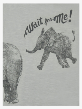 Lion Of Leisure Baby T-shirt Elephant - Indian Elephant
