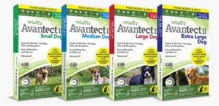 Vetality Advantect Ii - Tevra Brands Llc Vetality Advantect Ii For Dogs-4-10lbs