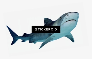 San Jose Sharks Official Logo - Haifisch-kundgebung Stoff Serviette