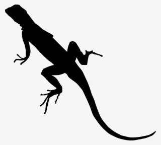 Download Png - Lizard Clipart Transparent Background