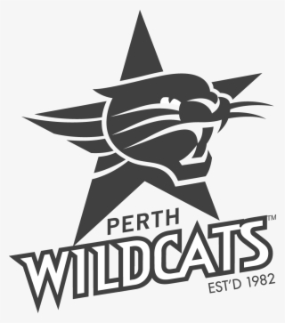 holman perth wildcats competition - perth wildcats