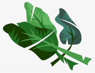 Vector Illustration Of Edible Vegetable Leaf Plant - Vector Graphics