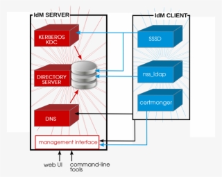 Interactions Between Freeipa Services - Idm Server