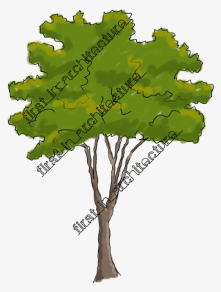 Sketchy Trees Png Clip Art Free Download - Trees Sketch For Elevation