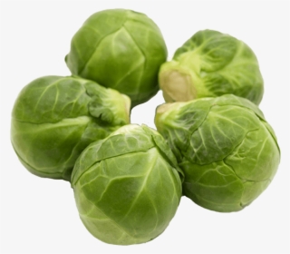 Brussels Sprouts - Brussels Sprout