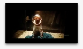 Cosmo The Space Dog, As Seen In The First Guardians - Говард Утка В Стражах