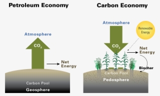 Iowa State University And Bei Are Exploring The Possibility - Carbon Cycle