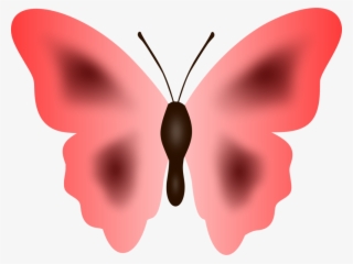 Butterfly Moth Cartoon Pink - Clip Art