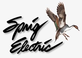 Sprig Electric
