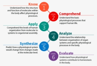 1 - 1 Objectives - Anatomy