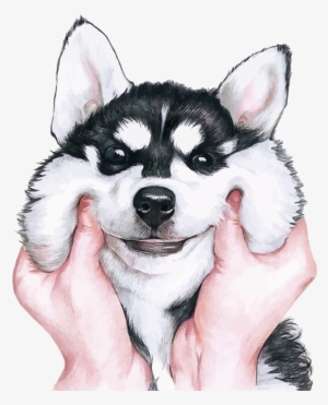 Siberian Husky Wallpaper