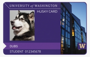 About Husky Card Services[3] - University Of Washington Dog
