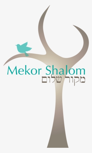 Congregation Mekor Shalom