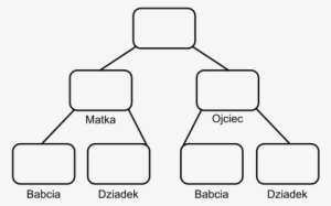 This Image Rendered As Png In Other Widths - Family Tree Diagram Transparent