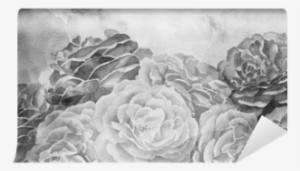 Black And White Roses In Hand Painted Watercolor Background - Watercolor Painting