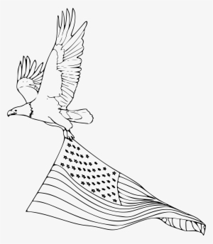 Coloring Book Bald Big Image Png - Eagle Flying Drawing Easy