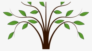 Family Tree - Tree Clipart