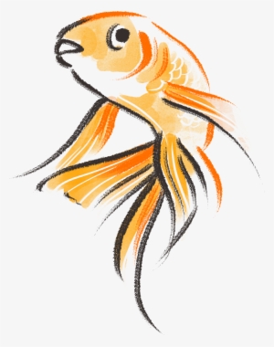Goldfish - Drawing