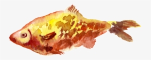 Yellow Fish Watercolor Hand Drawn Transparent - Design