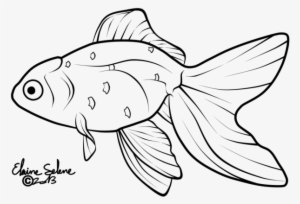 Drawn Gold Fish Line - Gold Fish Line Drawing