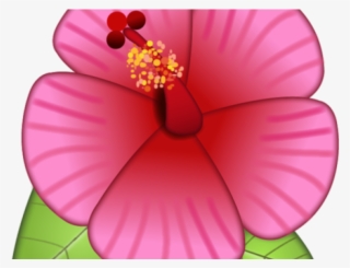 Flower Emoji Iphone