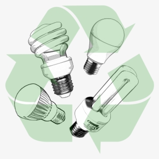 Cfl Bulbs Are Also Recyclable Click To Learn More, - Incandescent Light Bulb