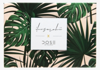 Iluvsarahii Eyeshadow Palette - Dose Of Colors X Iluvsarahii Eyeshadow Palette