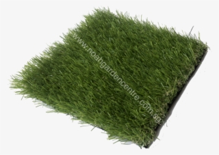 Artificial Grass Turf, Olive Green - Lawn