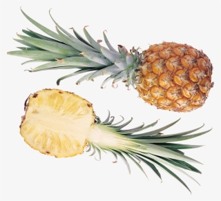 Ananas Png Resmi Pineapple Png