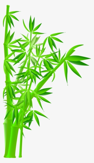Green Bamboo Png Graphic Black And White