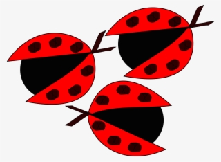 Ladybugs Png