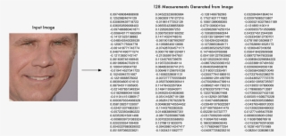 So What Parts Of The Face Are These 128 Numbers Measuring - Face Recognition Encoding