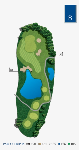 Hole 8 - Alligator