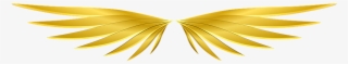 Wings, Gold, Mythological, Fantasy - Gold