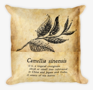 Camellia Sinensis Tea Gift Pillow - Cushion