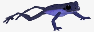 Blue Poison Frog