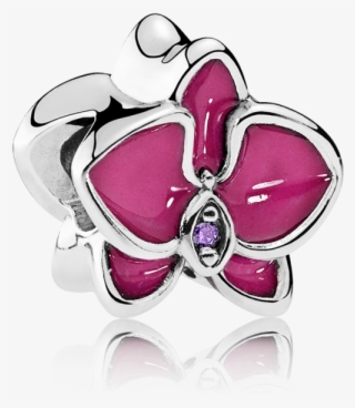 Charms Clip Cherry Blossom Image Royalty Free - Pandora Pink Orchid Charm