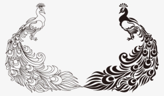 Peafowl Feather Bird Drawing Clip Art - Border Designs For Assignment