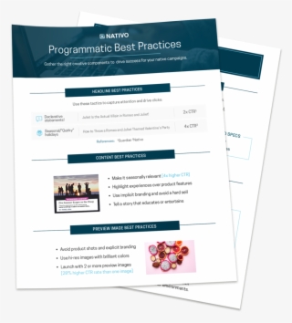 Programmatic Best Practices - Brochure