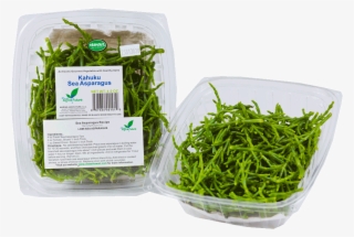 Fresh Sea - Salad
