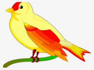 Sparrow Clipart Colorful - Identifying Big And Small