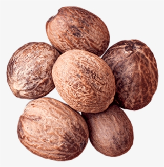 Nutmeg - Walnut