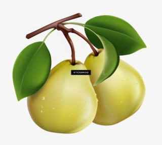 Pear - Blueberry Vector