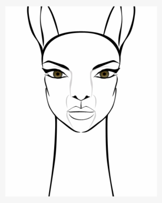 Llama Croft Sketch, Front - Sketch