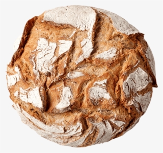 Cakespastryno-knead Bread - View Bread Top