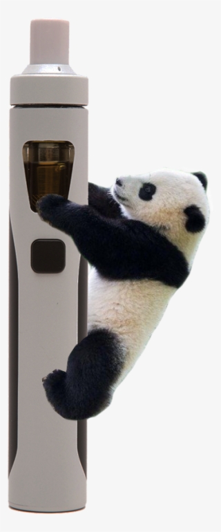 Panda 710 Is The Latest In Vape Elegance - Panda