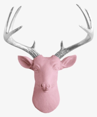 Freeuse Library Blossom Antler Pink Faux Head Mini