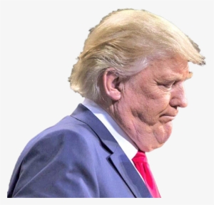 Personunflattering Picture Of Donald Trump - People Who Look Like Bullfrogs