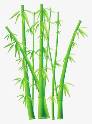 Bamboo Png Hd Transparent Bamboo Hd - Bamboo Clipart Png