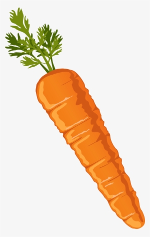 Food Clipart, Carrot Drawing, Carrots, Clip Art, Image - Transparent Background Carrot Clipart